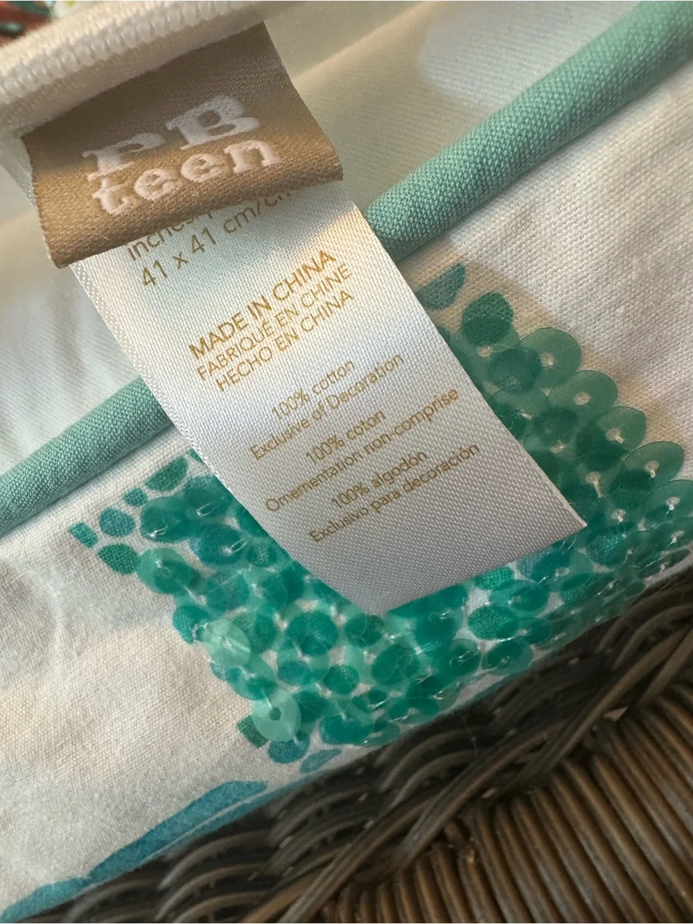 Pottery Barn teen pillow cover/insert